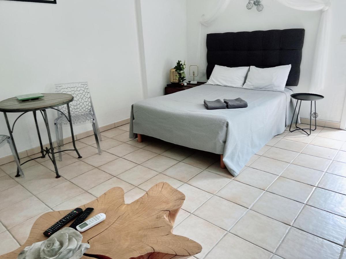 Appartement Climatise Parking Cite Paoline Corte  Bagian luar foto